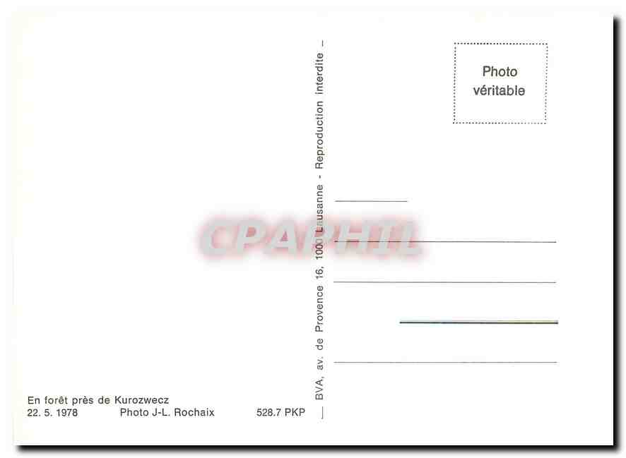 CPM En forêt près de Kurozwecz — Verso