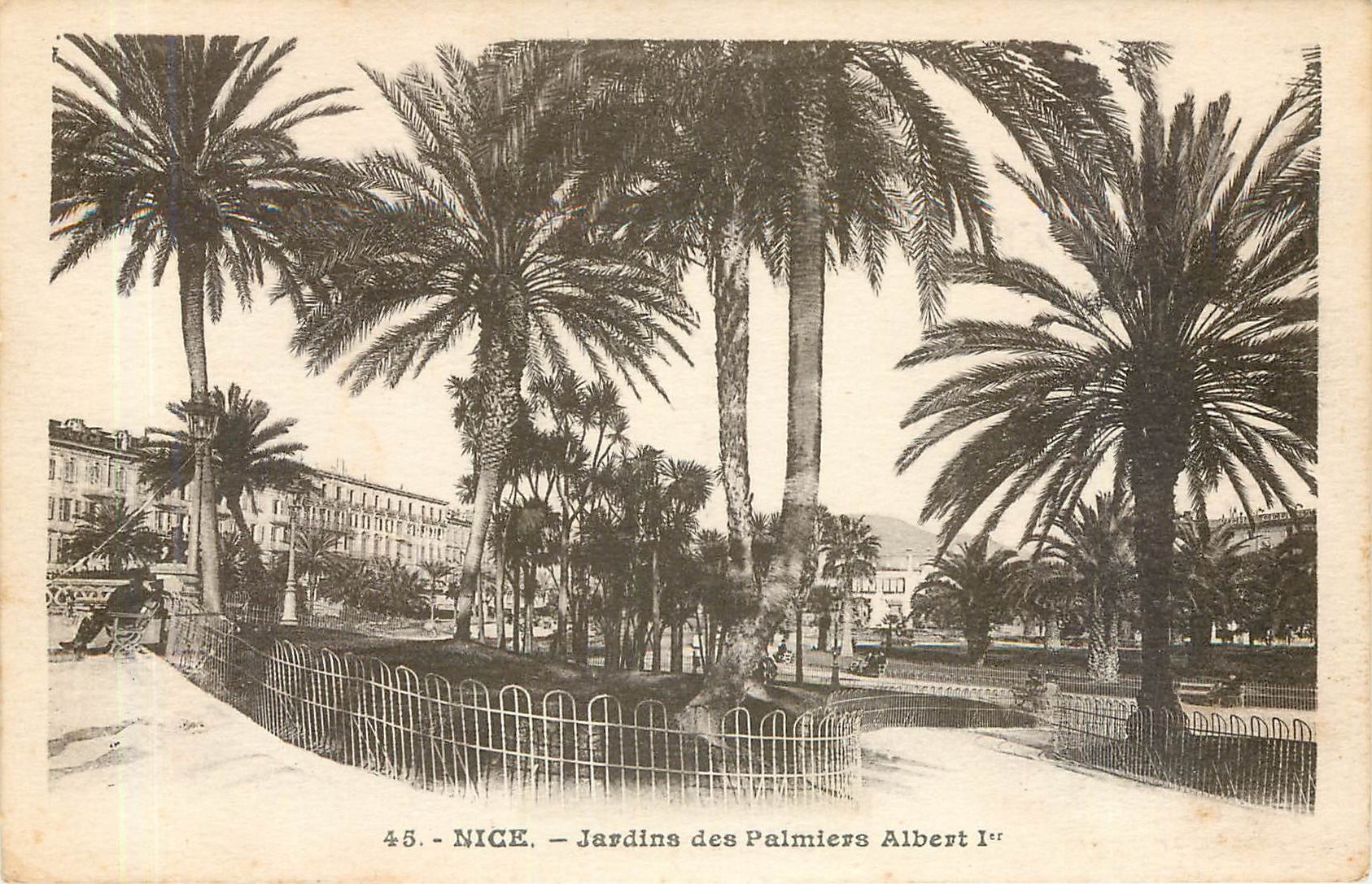 CPA NICE-Jardin des Palmiers Albert 1er