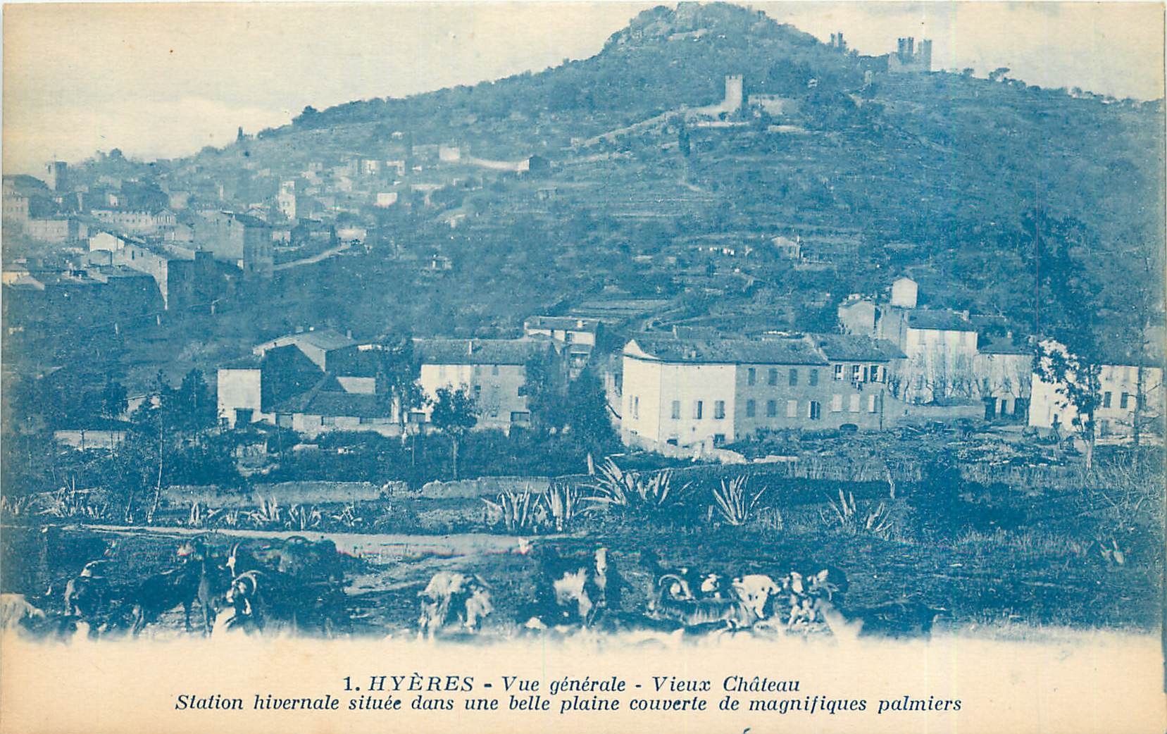 Hyères - Vue générale - Vieux Château - Station hivernale dans une belle plaine couverte de magnifiques palmiers