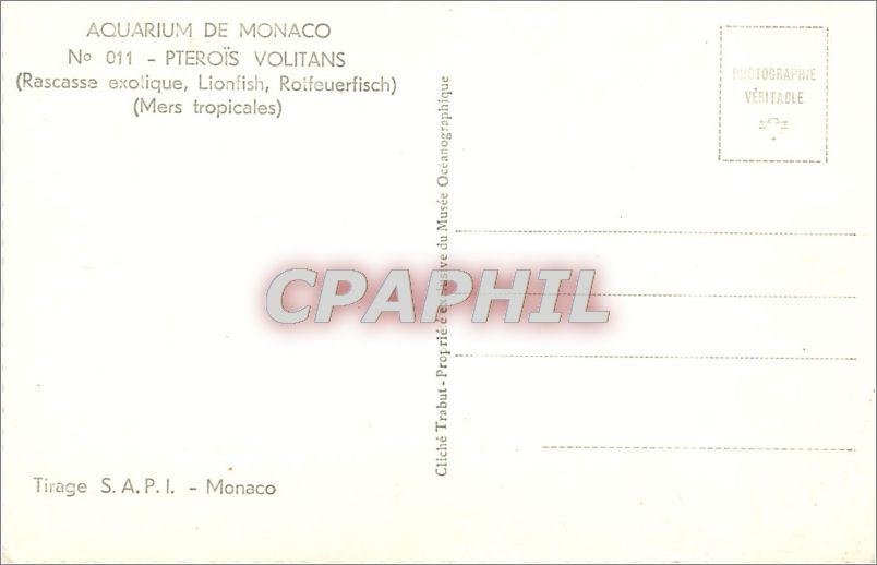 CPA AQUARIUM DE MONACO N 011-PTEROIS VOLITANS — Verso