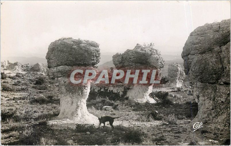 CPA The PROVENCE FORCALQUIER(e.a).Rohes des Mourres