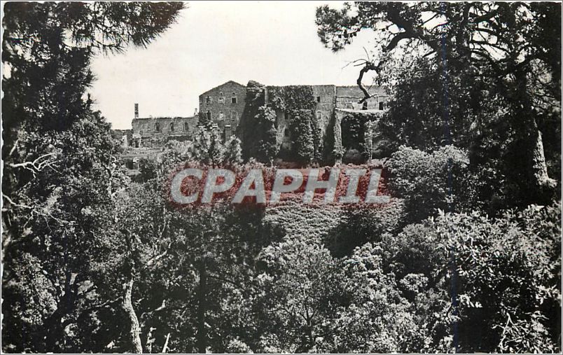 CPA Les Moures.P498 COLLOBRIERES La Chaeuse de la Verne