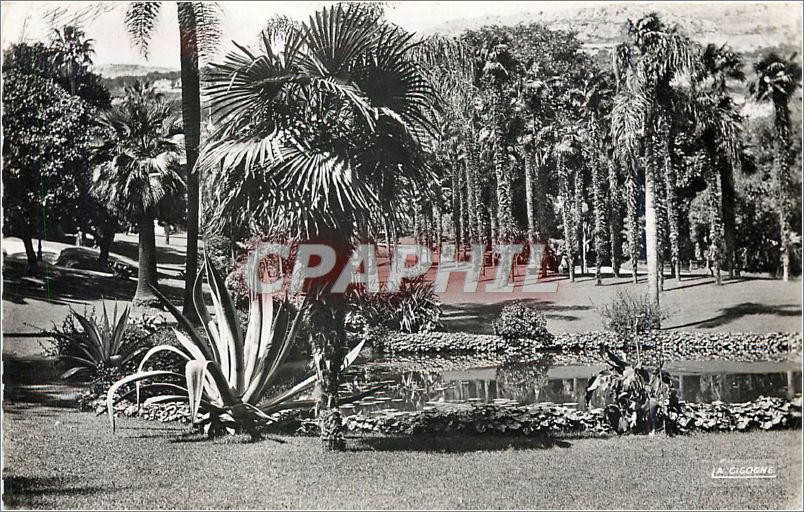 CPA MONTE-CARLO.Les Jardins du Casino. Vision d'Afrique