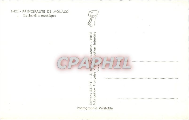 CPA principaute de monaco.Le Jardin exotique.(Raquettes candelabres et aloès) — Rückseite