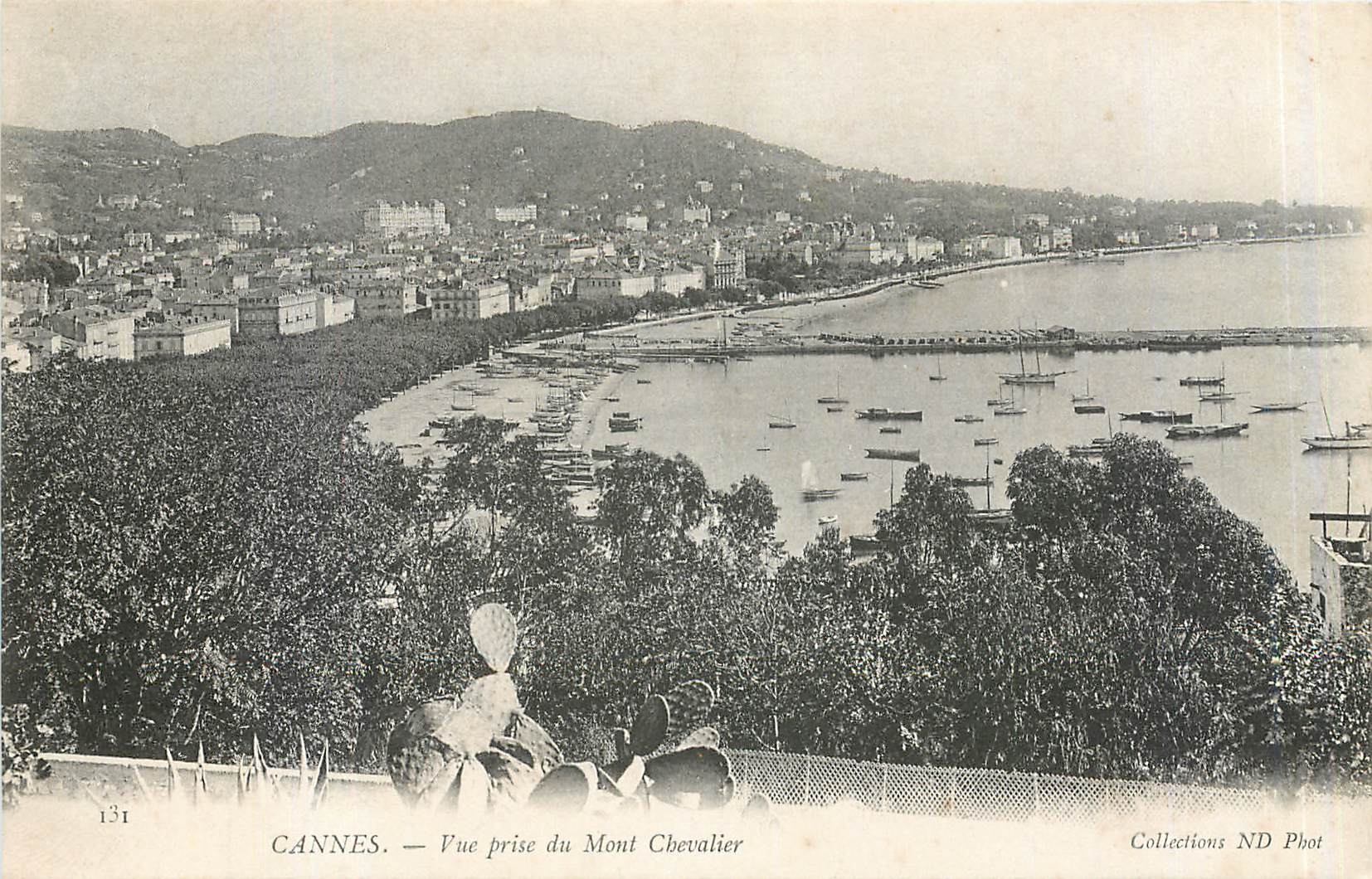 CPA CANNES-Vue prise du Mont Chevalier