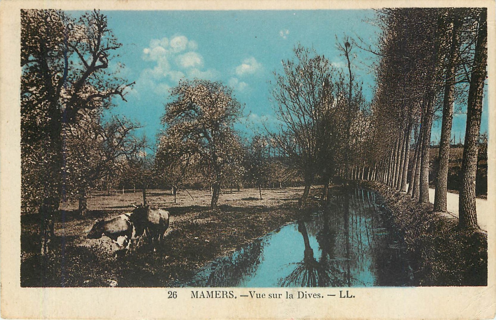 CPA MAMERS (Sarthe)- Vue sur la Dives Vaches