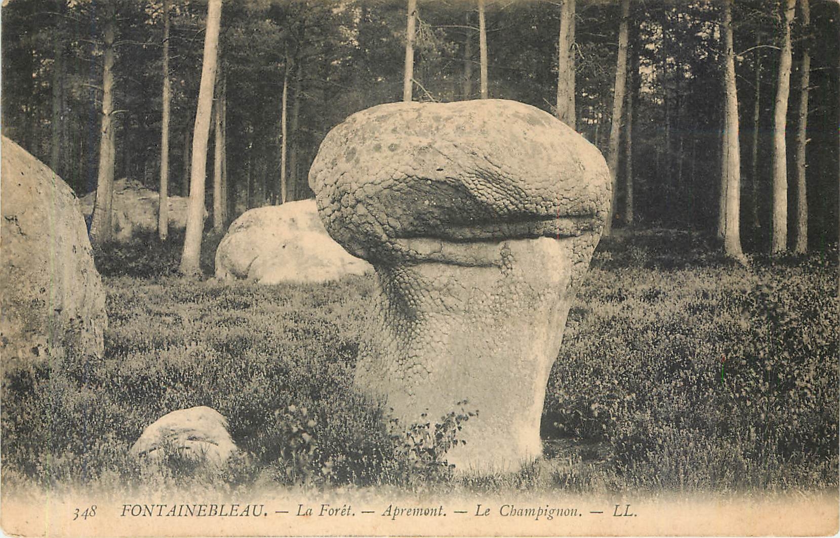 CPA FONTAINEBLEAU-La Foret-Aprement-Le champignon -LL
