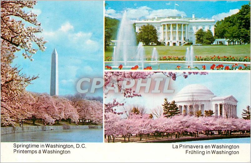 CPA Printemps a Washington