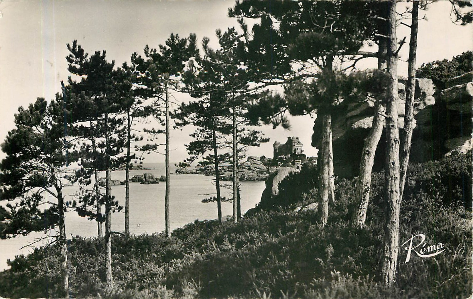 CPA PLOUMANCH(C DU N) Le Chateau de Costaeres a travers le Pins