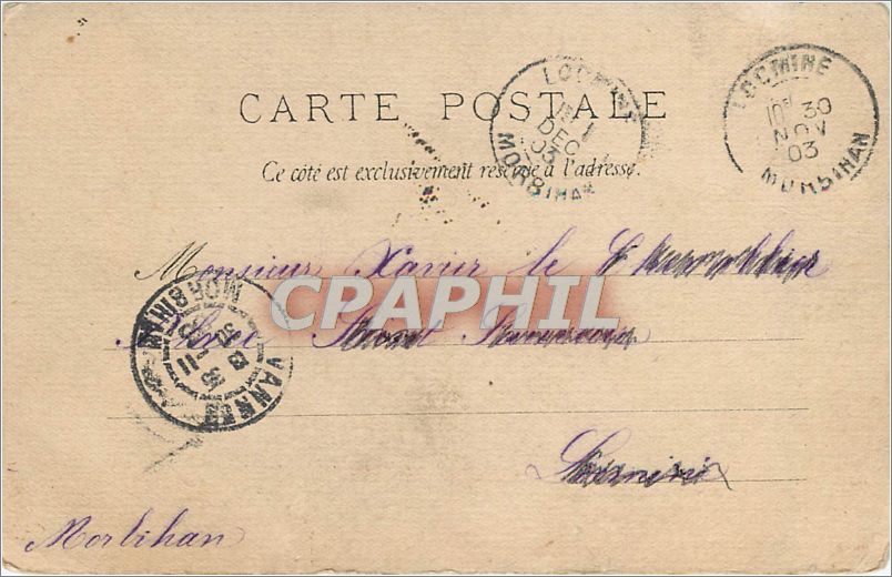 CPA AUDACIEUSE FAMILLE Chien Poussins — Back