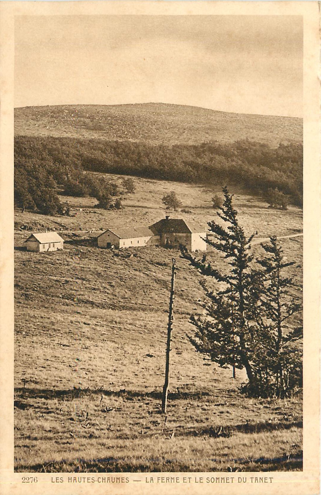 CPA LES HAUTES CHAUMES-LA FERME ET LE SOMMET DU TANET