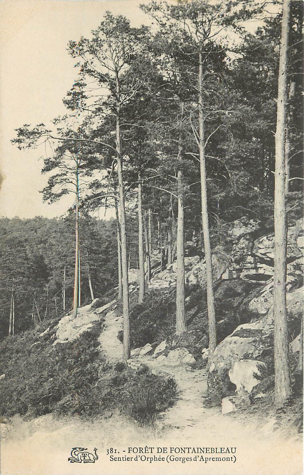 Bosque de Fontainebleau — Sendero de Orfeo (Gorjas de Apremont) — n°381