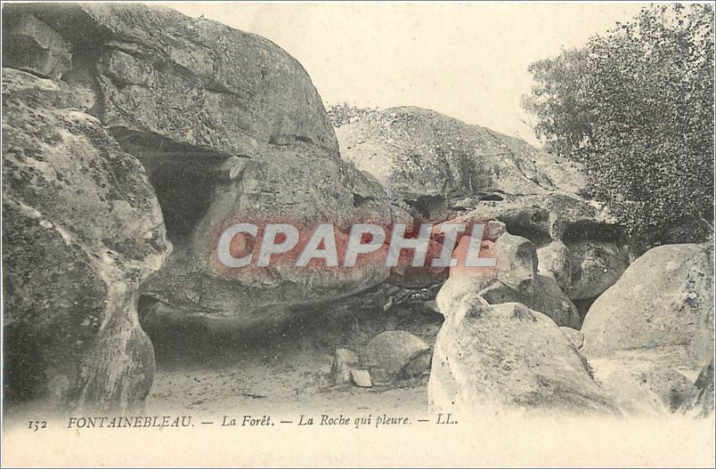Fontainebleau — Der Wald — Die weinende Felsen — LL.