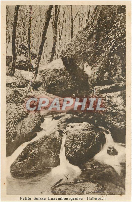 CPA Petite Suisse Luxembourgeoise Hallerbach 