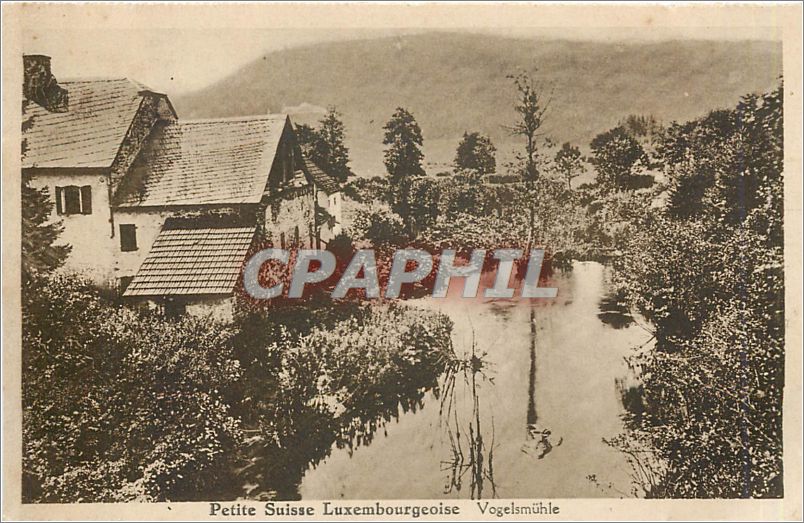 CPA Petite Suisse Luxembourgeoise Vogelsmuhle 