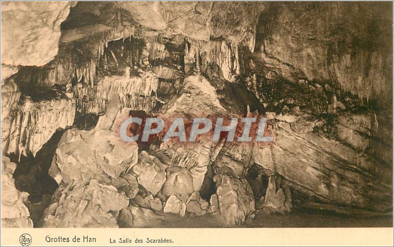 CPA Grottes de Han La Salle des Scarabees 