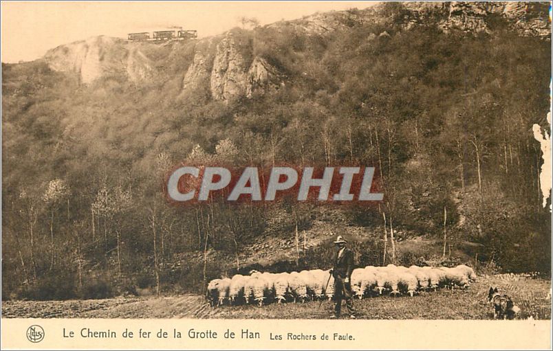 CPA Le Chemin de fer de la Grotte de Han Les Rochers de Faule Chien Moutons