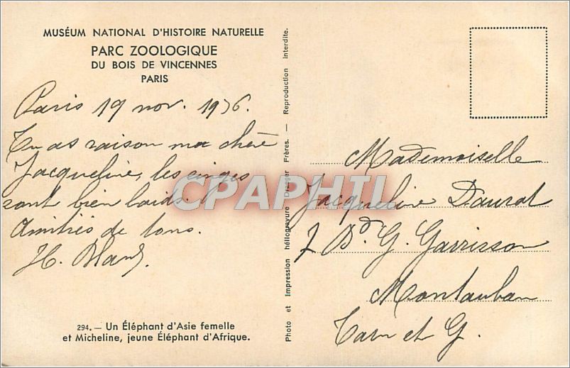 CPA Parc Zoologique du Bois de Vincennes Paris Un Elephant d'Asie femelle et Micheline jeune Elephan — Verso