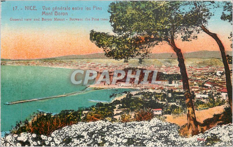 CPM Nice Vue generale entre les Pins Mont Boron 