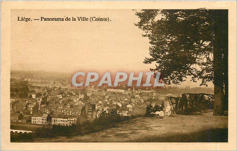 CPA Liege Panorama de la Ville Cointe 