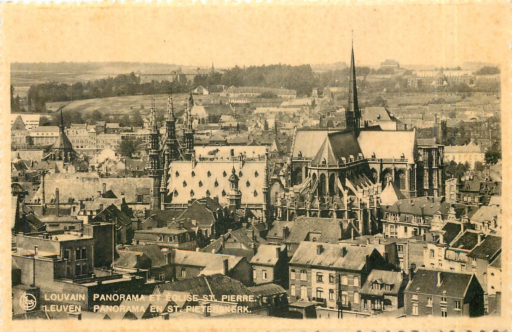 CPA Louvain Panorama et Eglise St Pierre 
