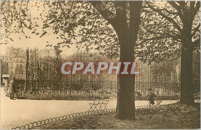 CPA Jardin du Luxembourg Les Espaliers 