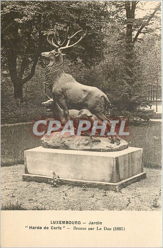 CPA Luxembourg Jardin Harde de Cerfs 