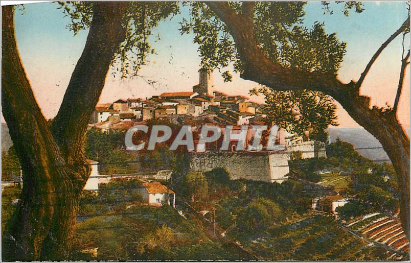 CPA La Cote d'Azur Vue generale entre les Oliviers Saint Paul