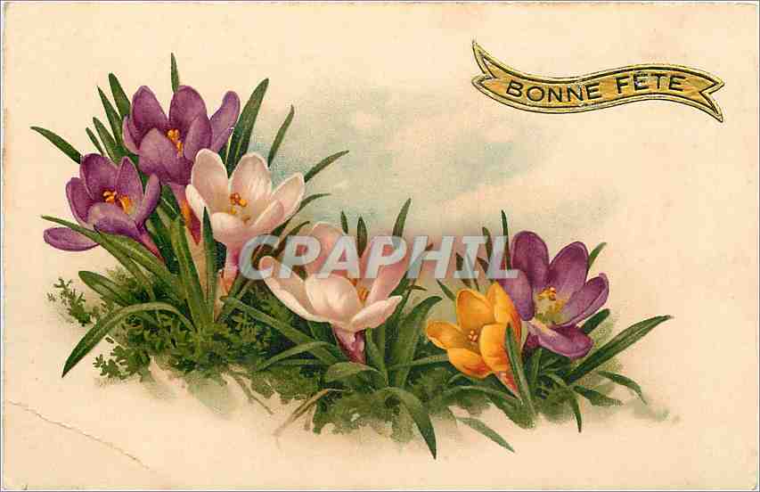 CPA Bonne Fete 