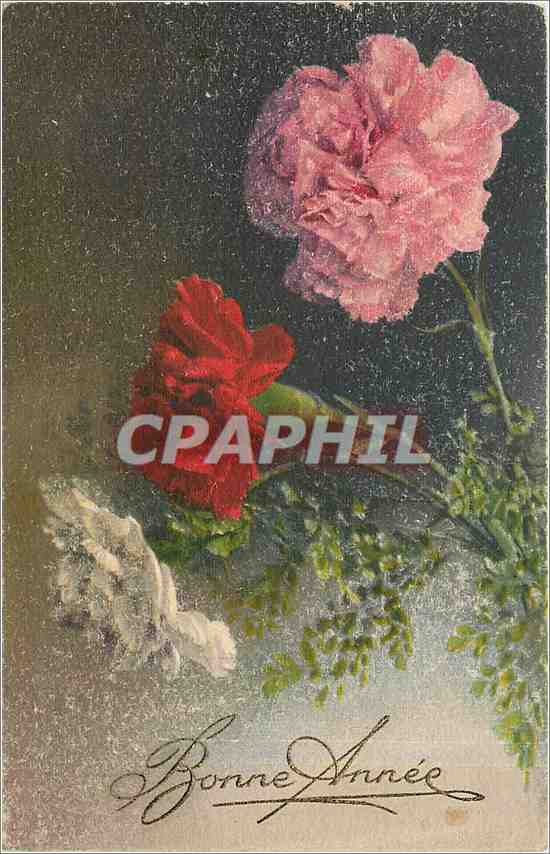 CPA Bonne Annee 