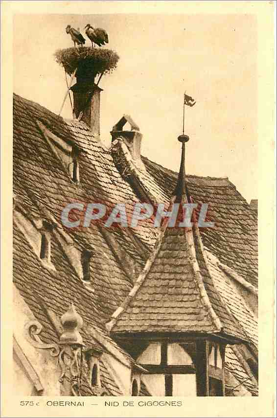CPA Obernai Nid de Cigognes 