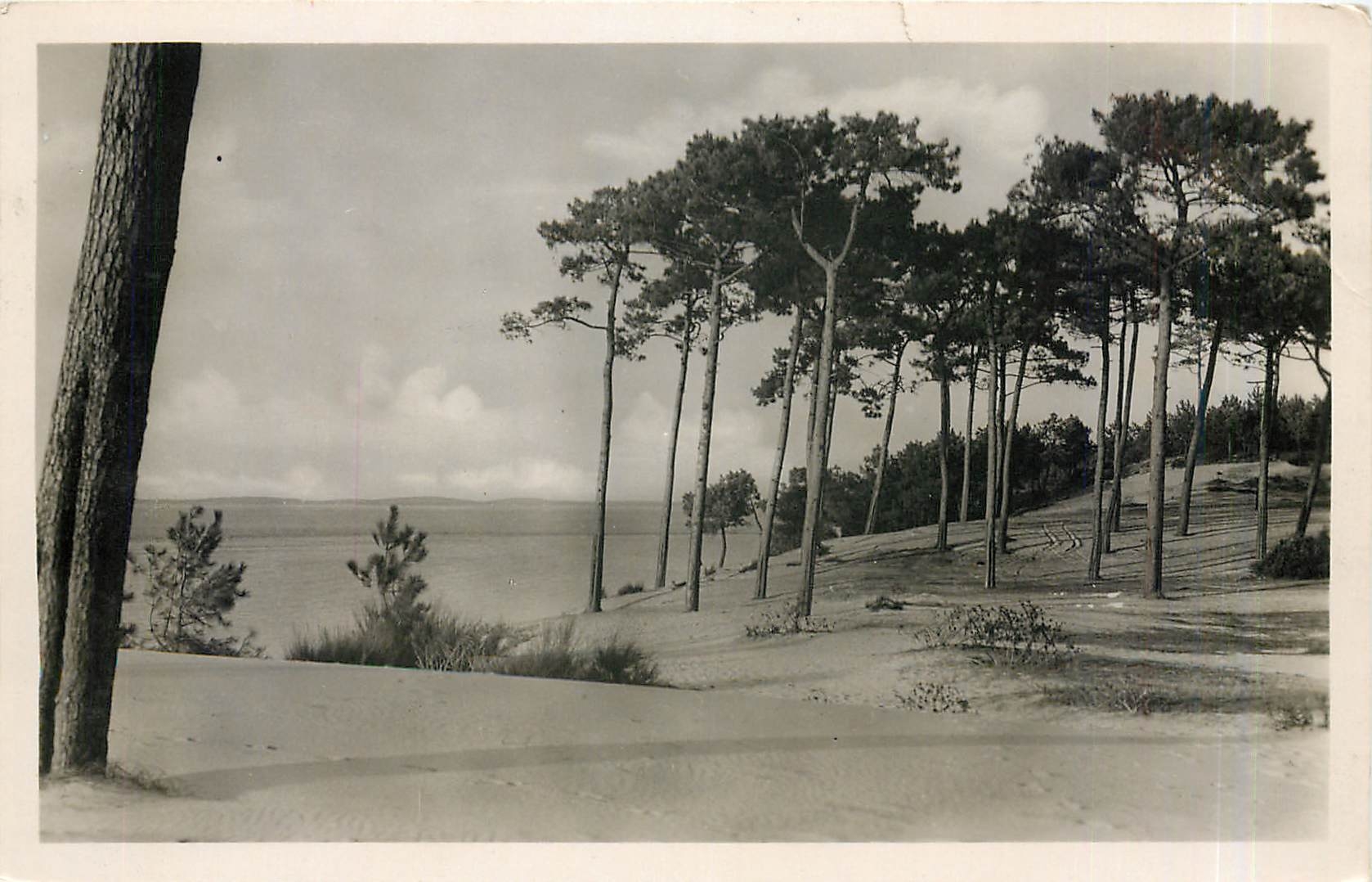 CPA Arcachon Gironde Bassin Dune Foret 