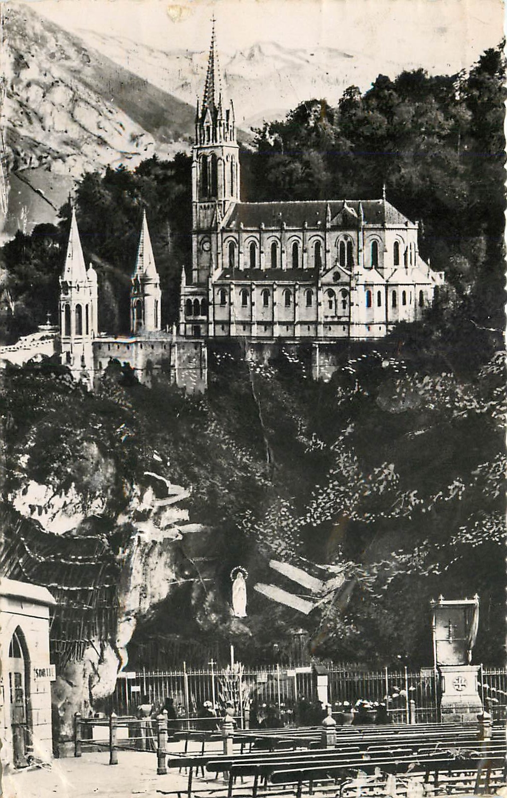 CPA Lourdes La Grottes et la Basilique 
