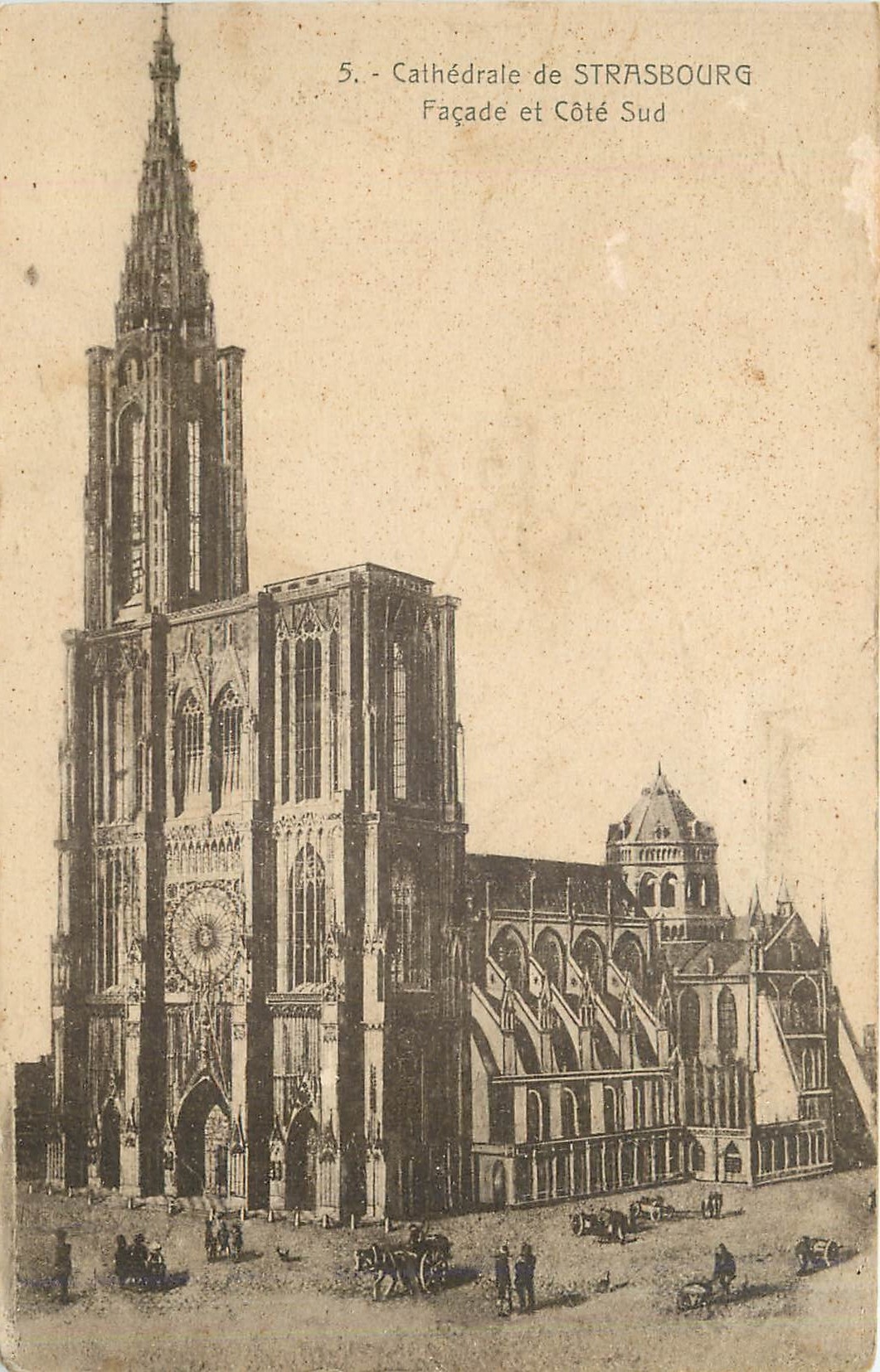 CPA Cathedrale de Strasbourg Facade et Cote Sud 