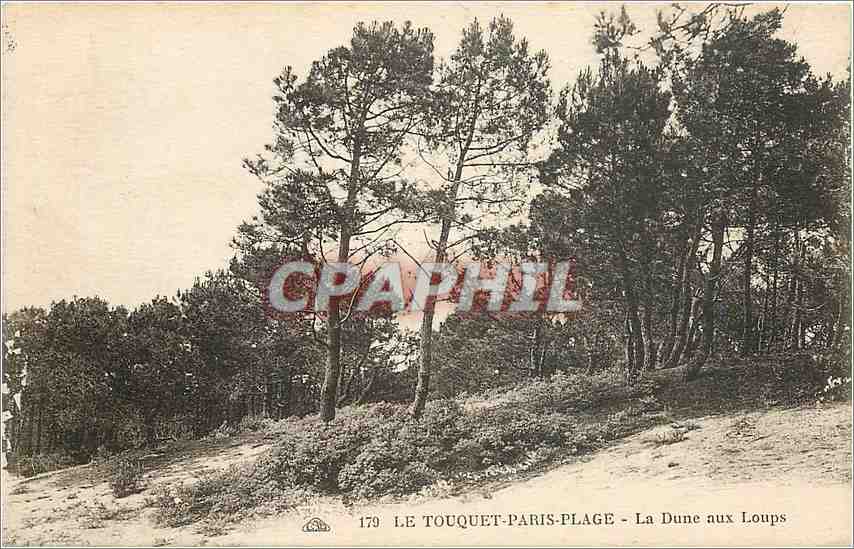 CPA Le Touquet Paris Plage La Dune aux Loups 