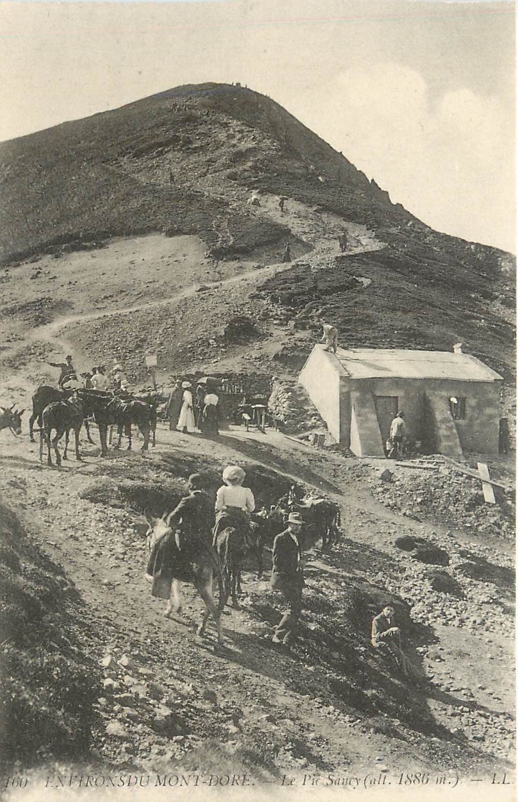 CPA Environs du Mont Dore Le Pic Saucy Ane Mule