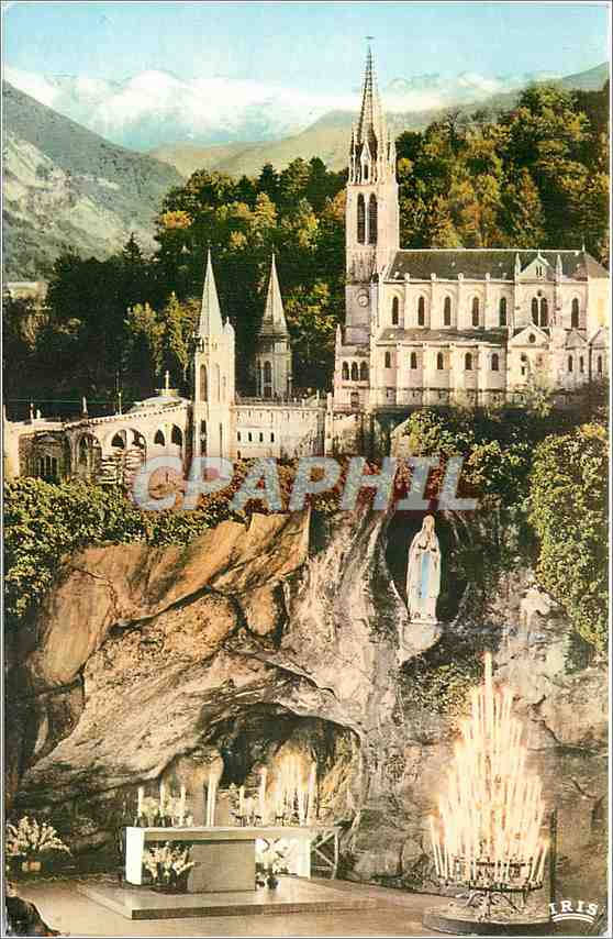 CPA Lourdes La Grotte et la Basiique 