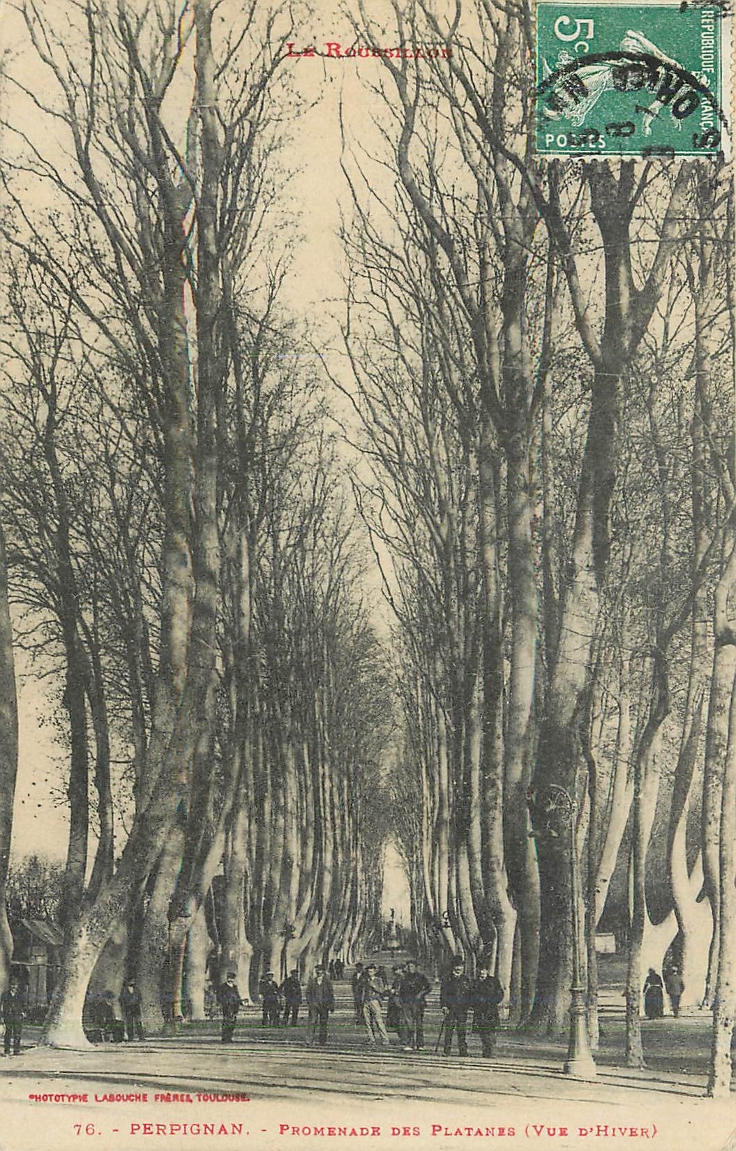 CPA Perpignan Promenade des Platanes Vue d'Hiver 