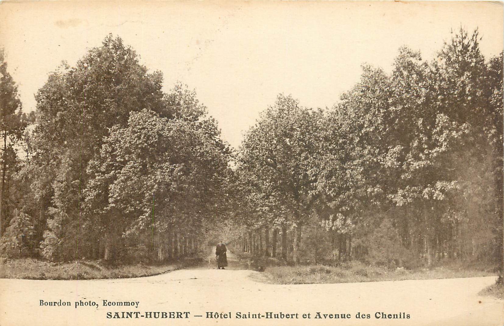 CPA Saint Hubert Hotel Saint Hubert et Avenue des Chenils 