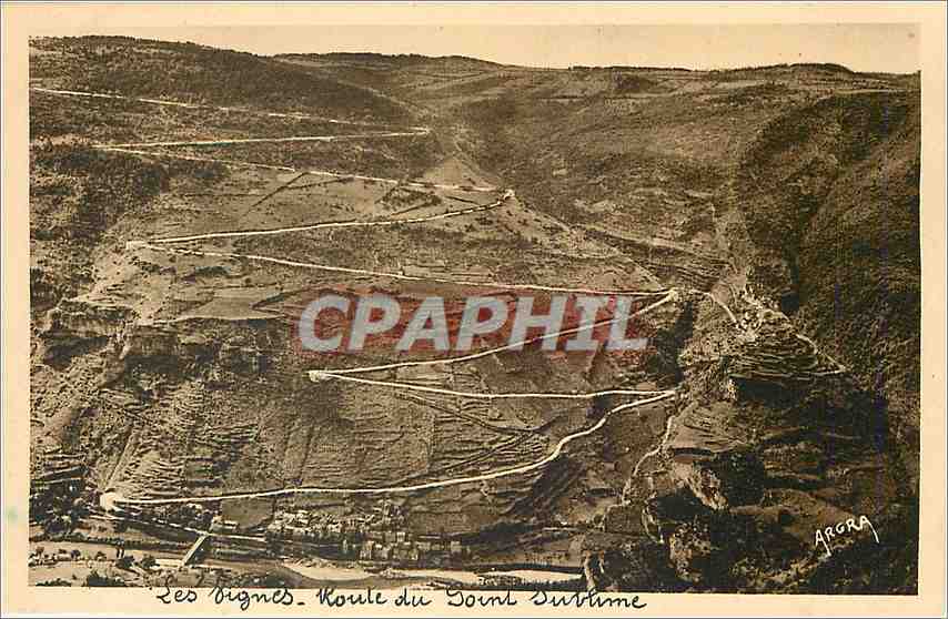 CPA Gorges du Tarn Les Vignes Les lacets de la route de Severac 