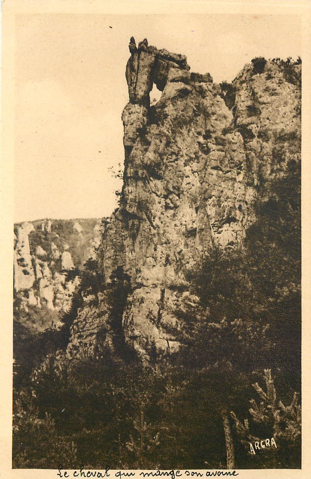 CPA Gorges du Tarn Le cheval qui mange son avoine 