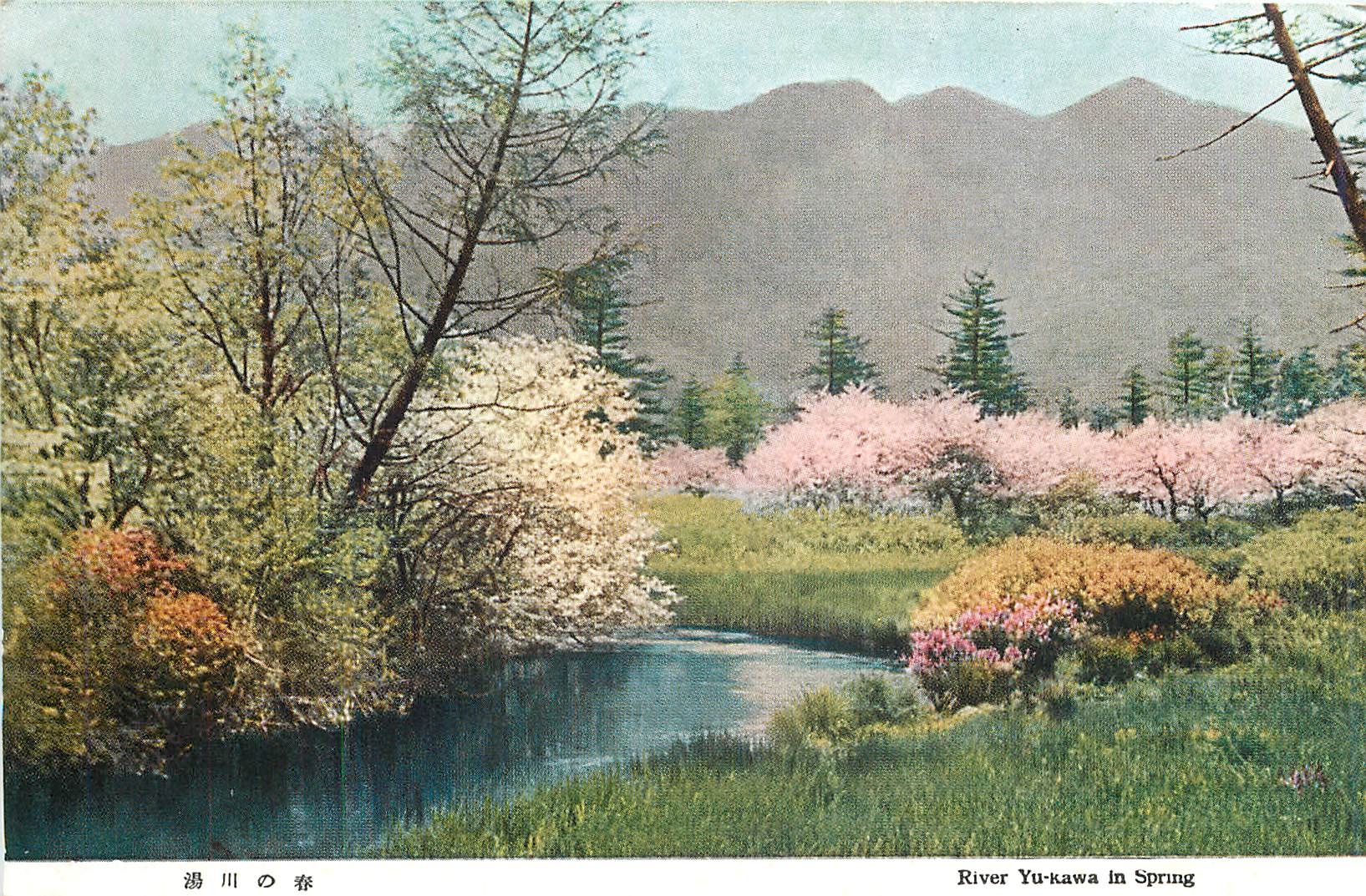 CPA River Yukawa in Spring 