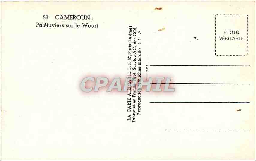 CPA Cameroun Paletuviers sur le Wouri  — Rückseite