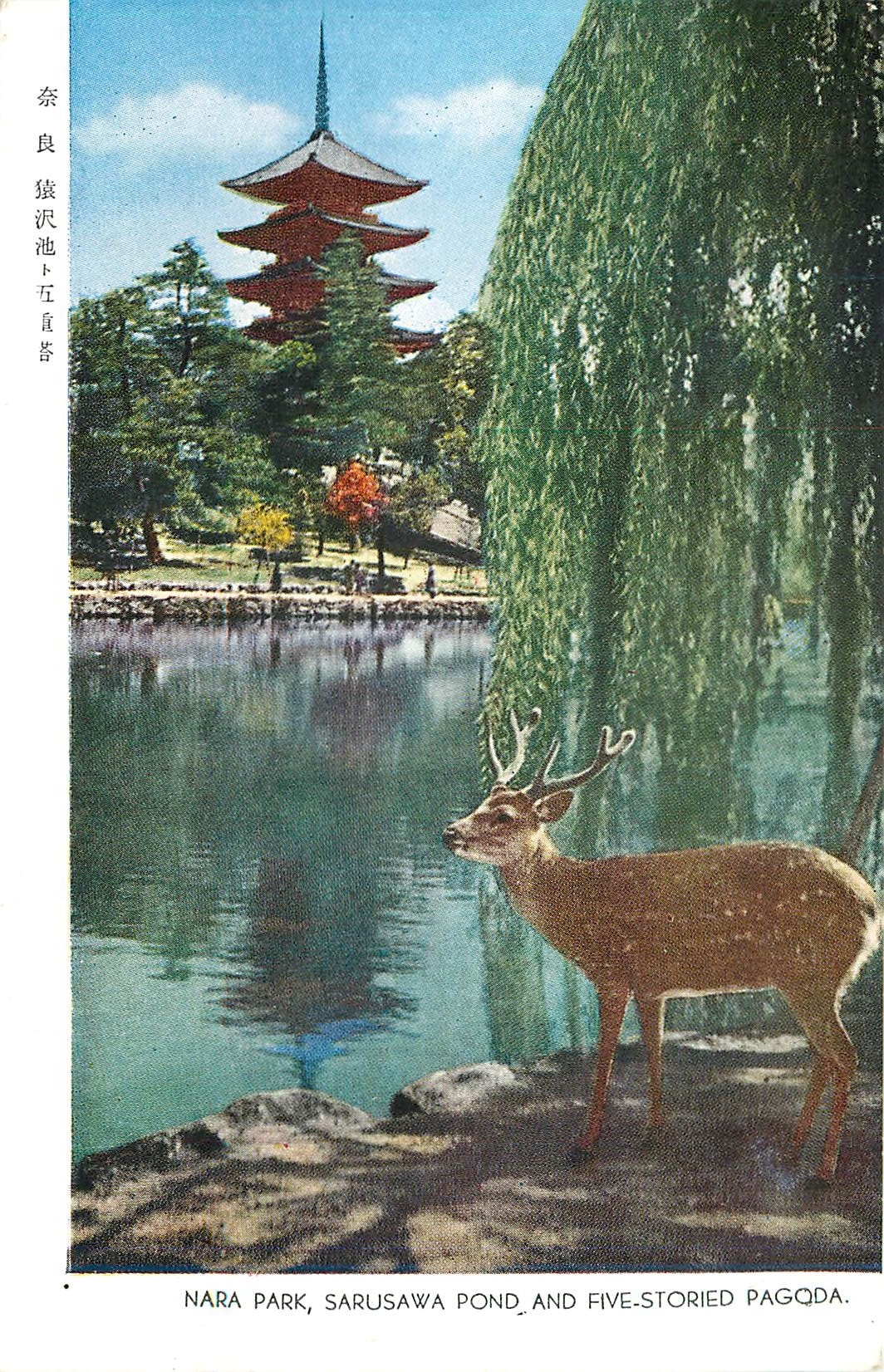CPA Nara Park Sarusawa Pond and Five storied Pagoda 
