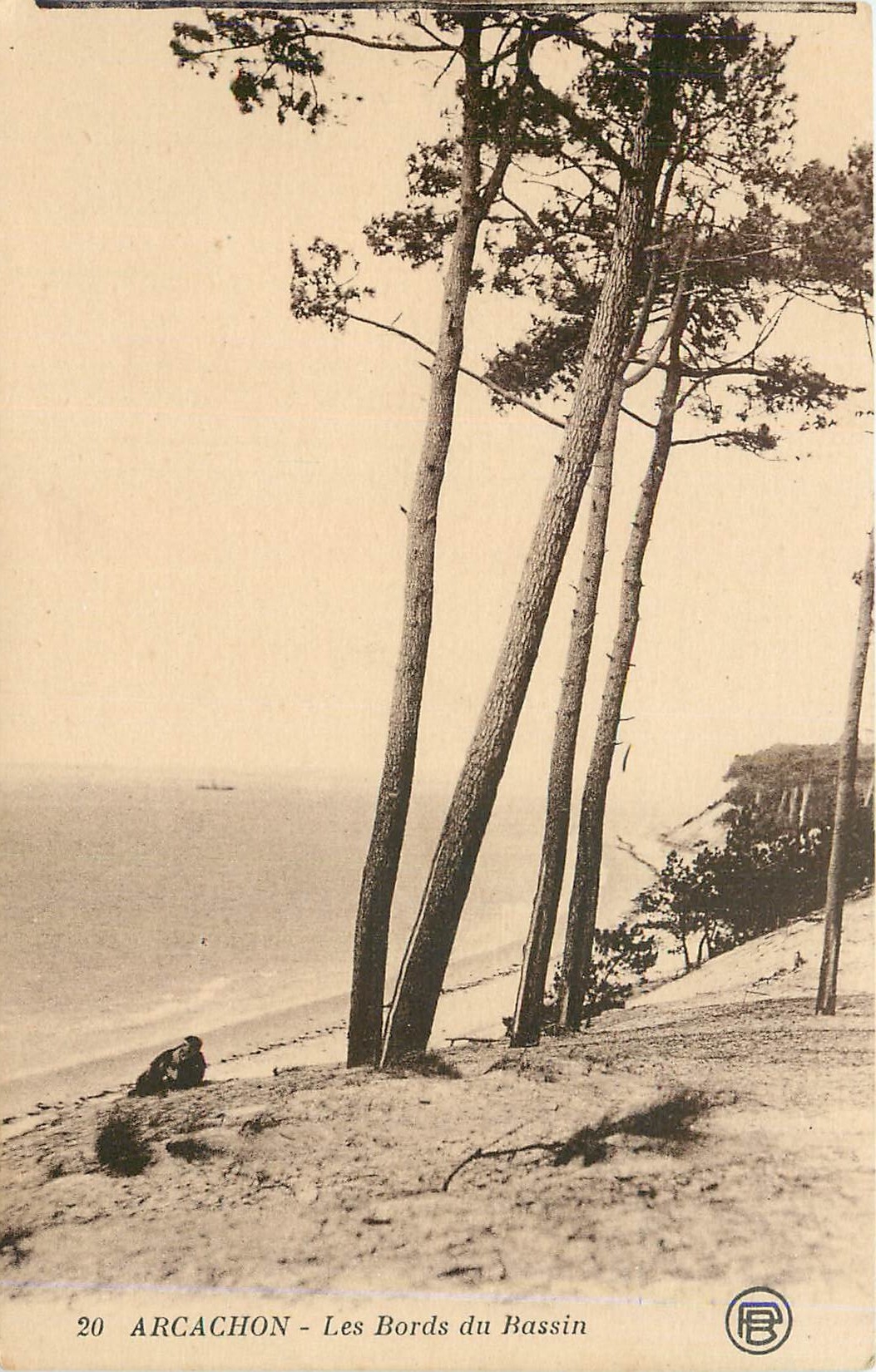 CPA Arcachon Les Bords du Bassin 