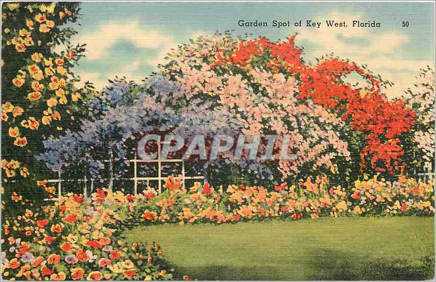 CPA Garden Spot of Key West Florida 