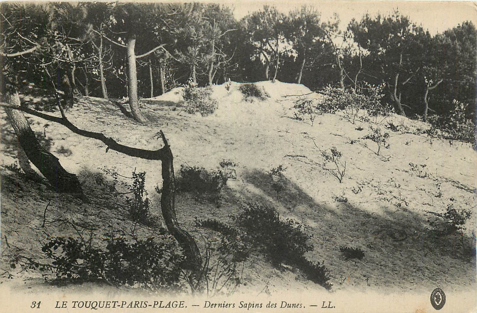 CPA Le Touquet Paris Plage Dernier Sapins des Dunes 