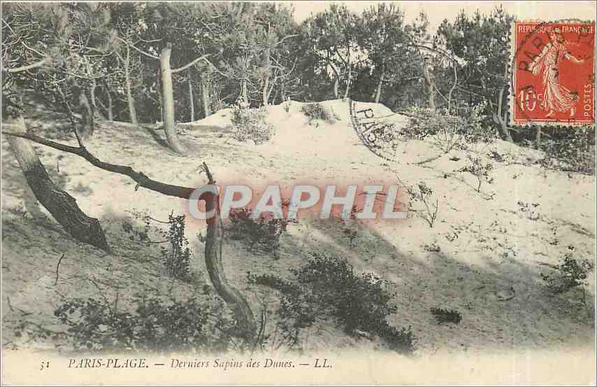 CPA Paris Plage Derniers Sapins des Dunes 
