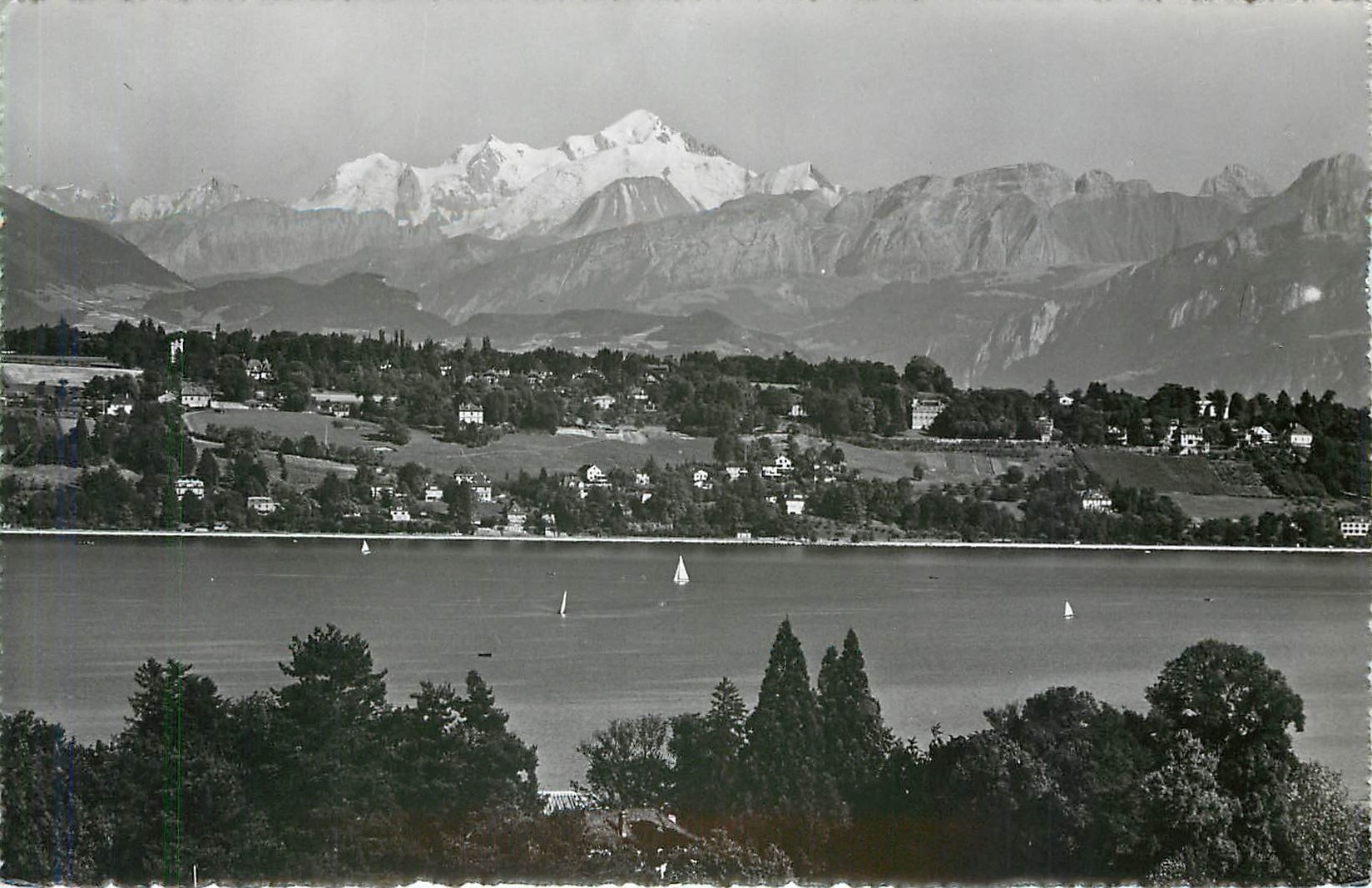 CPA Geneve Le massif du Mont Blanc 