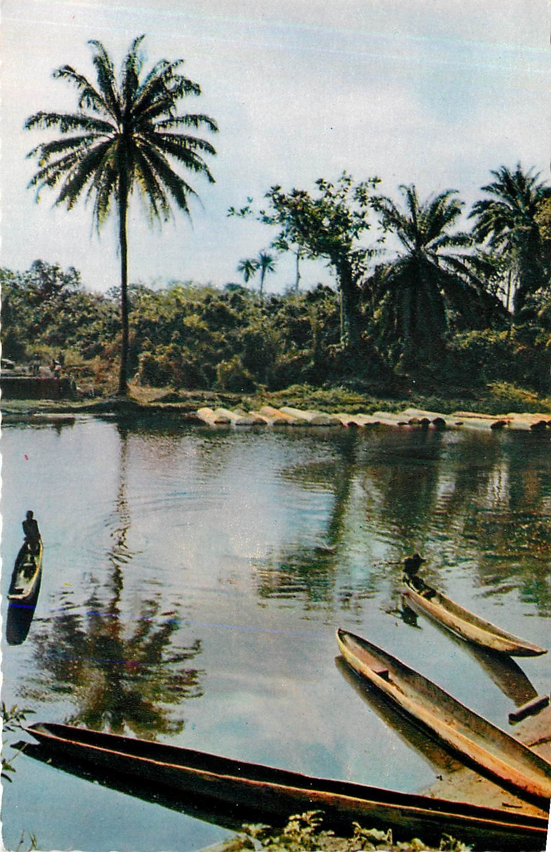 CPA Paysage Africain African Landscape 